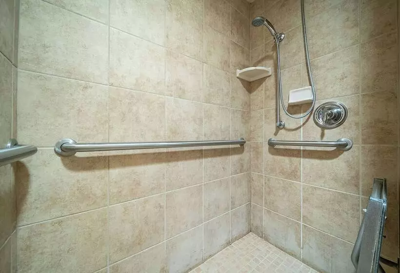 اتاق استاندارد برای معلولان, Hilton Garden Inn Kalispell