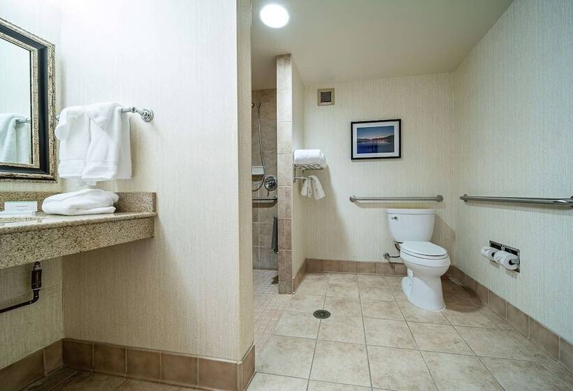 Номер Стандарт Адаптированный для Инвалидов, Hilton Garden Inn Kalispell