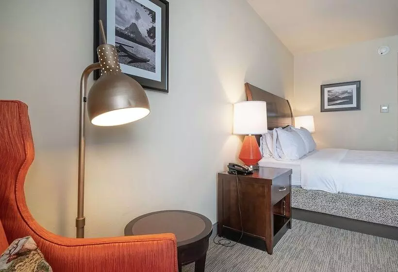 اتاق استاندارد برای معلولان, Hilton Garden Inn Kalispell