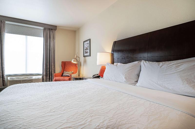 キングサイズベッドのスタンダードルーム, Hilton Garden Inn Kalispell