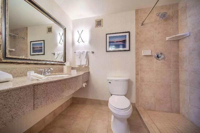 اتاق استاندارد با تخت بزرگ, Hilton Garden Inn Kalispell