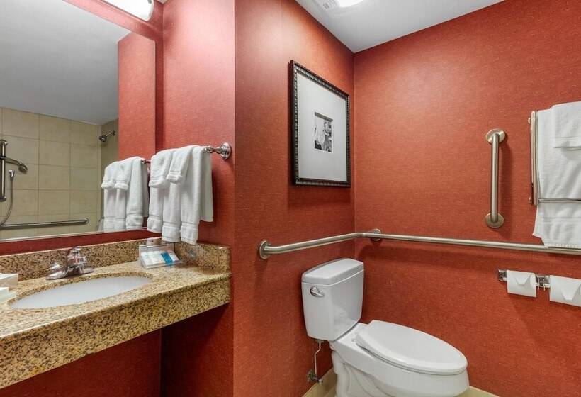 غرفة قياسية لذوى الاحتياجات الخاصة, Hilton Garden Inn Tupelo