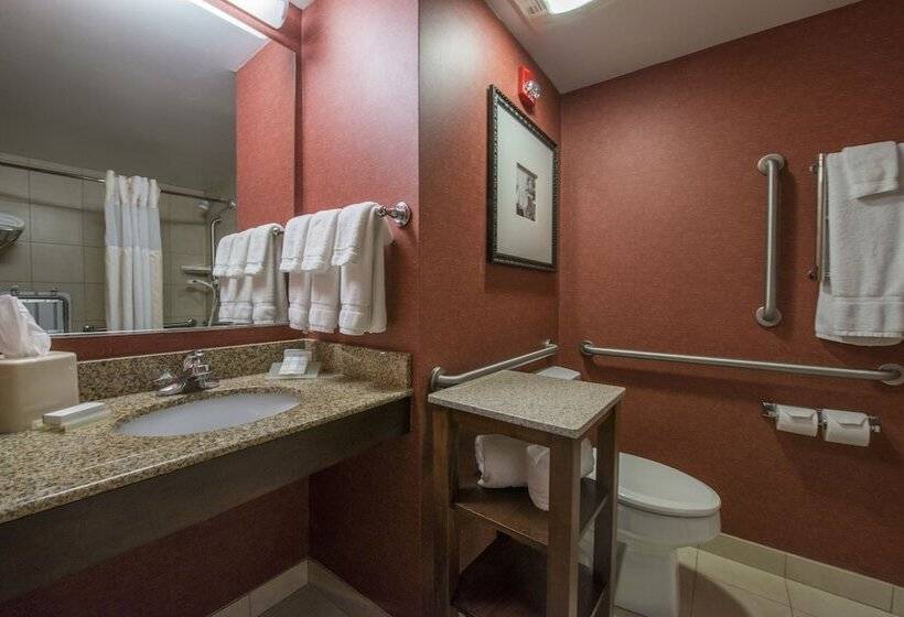 غرفة قياسية لذوى الاحتياجات الخاصة, Hilton Garden Inn Tupelo