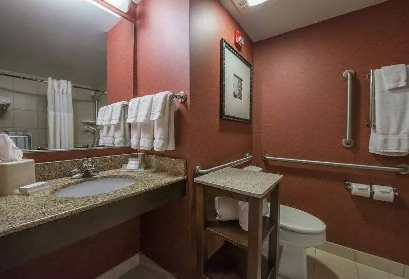 身障者適用スタンダードルーム, Hilton Garden Inn Tupelo