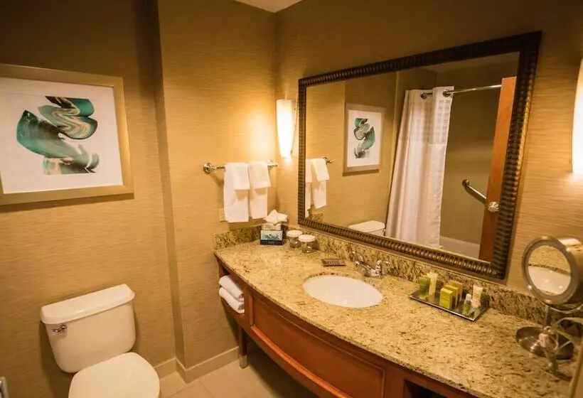 ダブルベッドスタンダードルーム, Hilton St. Petersburg Carillon Park