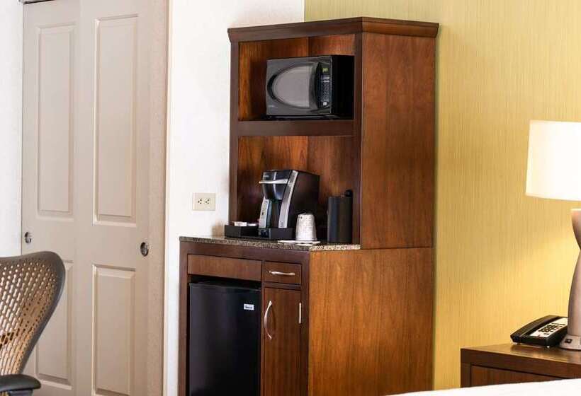 غرفة قياسية, Hilton St. Petersburg Carillon Park