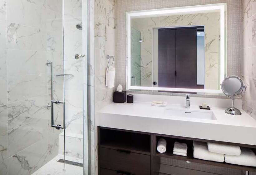 غرفة قياسية سرير كينج, Hilton St. Petersburg Carillon Park