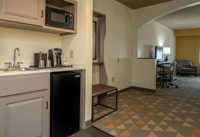 غرفة قياسية سرير كينج, Holiday Inn Hotel & Suites Beaufort At Highway 21, An Ihg