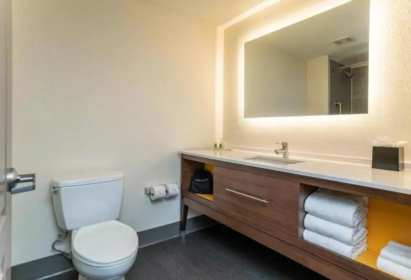 エクゼクティブスイート, Holiday Inn Hotel & Suites Beaufort At Highway 21, An Ihg
