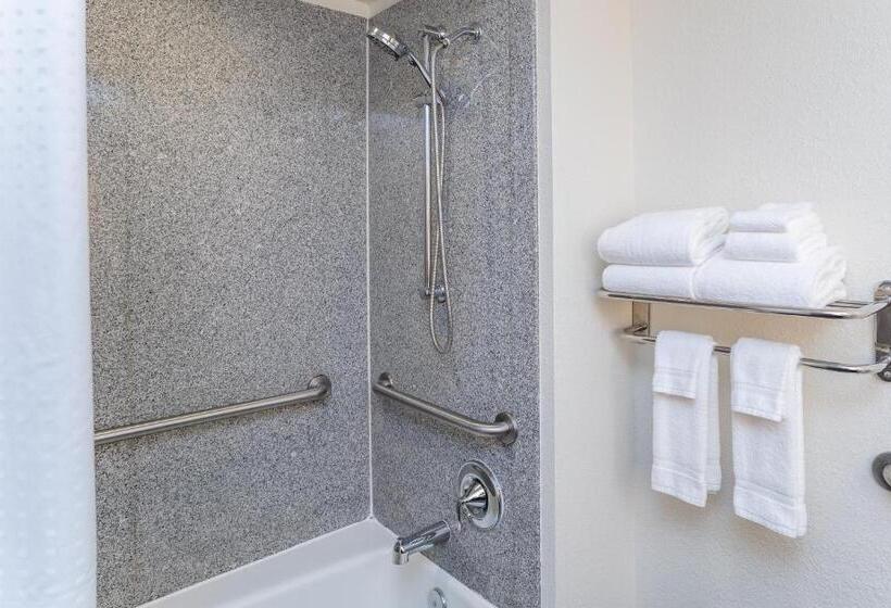 غرفة قياسية لذوى الاحتياجات الخاصة, Holiday Inn Hotel & Suites Beaufort At Highway 21, An Ihg