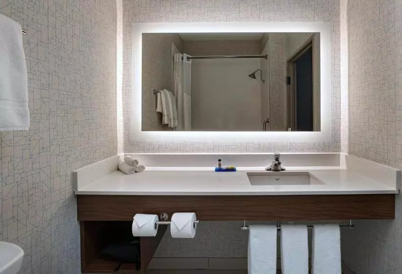 キングサイズベッドのスタンダードルーム, Holiday Inn Express & Suites Cedar Park , An Ihg