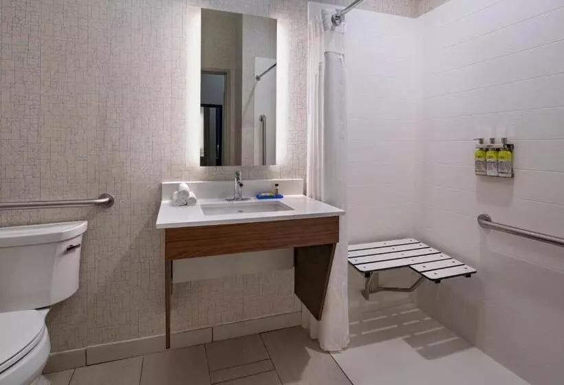 身障者適用キングサイズベッドルーム, Holiday Inn Express & Suites Cedar Park , An Ihg