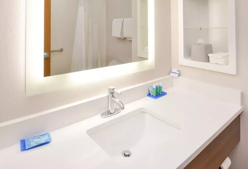 身障者適用スイートルーム, Holiday Inn Express & Suites Chattanooga   East Ridge, An Ihg