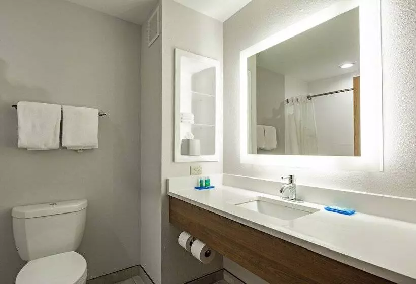 身障者適用スイートルーム, Holiday Inn Express & Suites Chattanooga   East Ridge, An Ihg