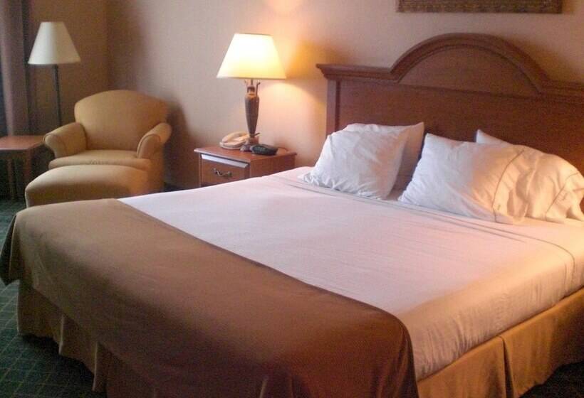 스탠다드 룸, Holiday Inn Express Hotel And Suites Alice, An Ihg