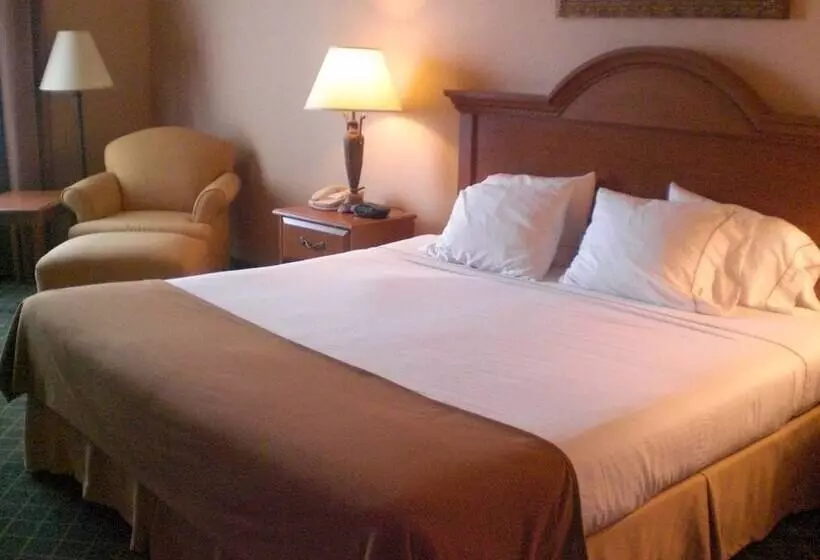 スタンダードルーム, Holiday Inn Express Hotel And Suites Alice, An Ihg