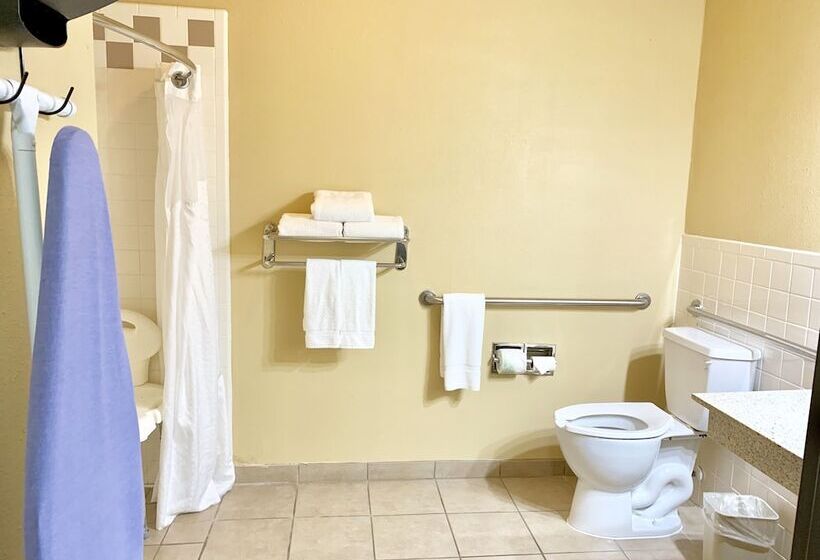 스탠다드 룸, Holiday Inn Express Hotel And Suites Alice, An Ihg