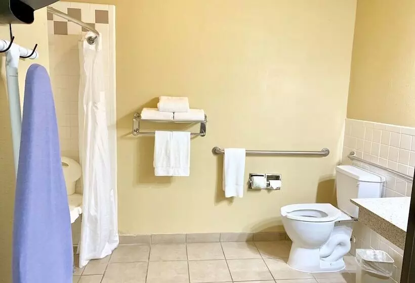 スタンダードルーム, Holiday Inn Express Hotel And Suites Alice, An Ihg