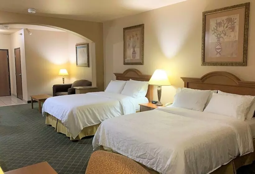 スイート, Holiday Inn Express Hotel And Suites Alice, An Ihg