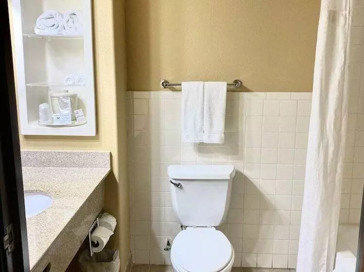 スイート, Holiday Inn Express Hotel And Suites Alice, An Ihg