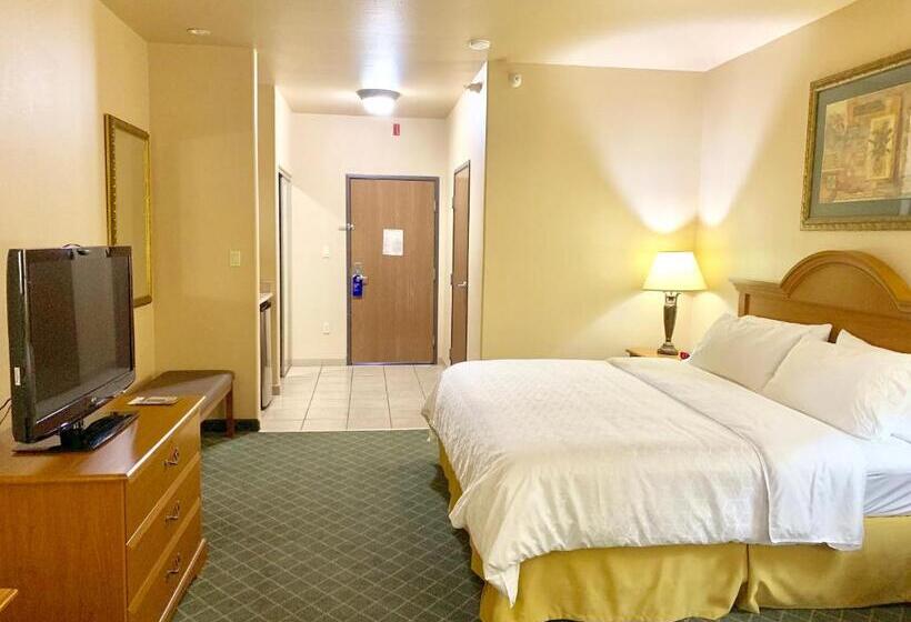 스탠다드 룸 킹사이즈 침대, Holiday Inn Express Hotel And Suites Alice, An Ihg