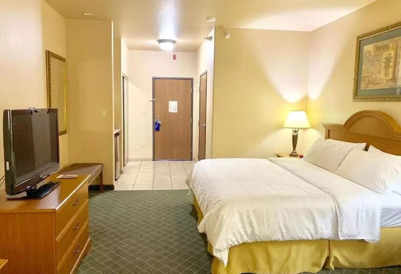 キングサイズベッドのスタンダードルーム, Holiday Inn Express Hotel And Suites Alice, An Ihg