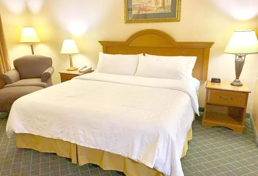 キングサイズベッドのスタンダードルーム, Holiday Inn Express Hotel And Suites Alice, An Ihg