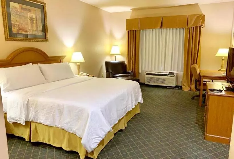 キングサイズベッドのスタンダードルーム, Holiday Inn Express Hotel And Suites Alice, An Ihg