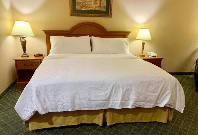 Standard Szoba King Size Bed, Holiday Inn Express Hotel And Suites Alice, An Ihg