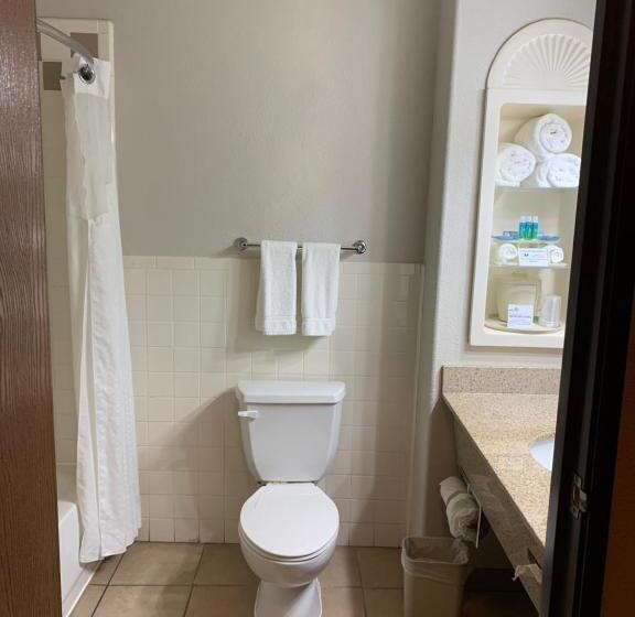 标准间, Holiday Inn Express Hotel And Suites Alice, An Ihg
