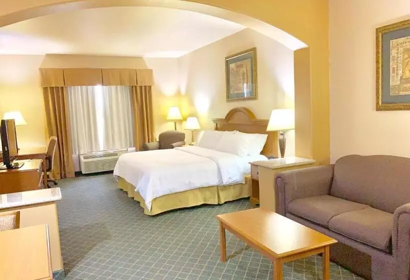 キングサイズベッドのスイートルーム, Holiday Inn Express Hotel And Suites Alice, An Ihg