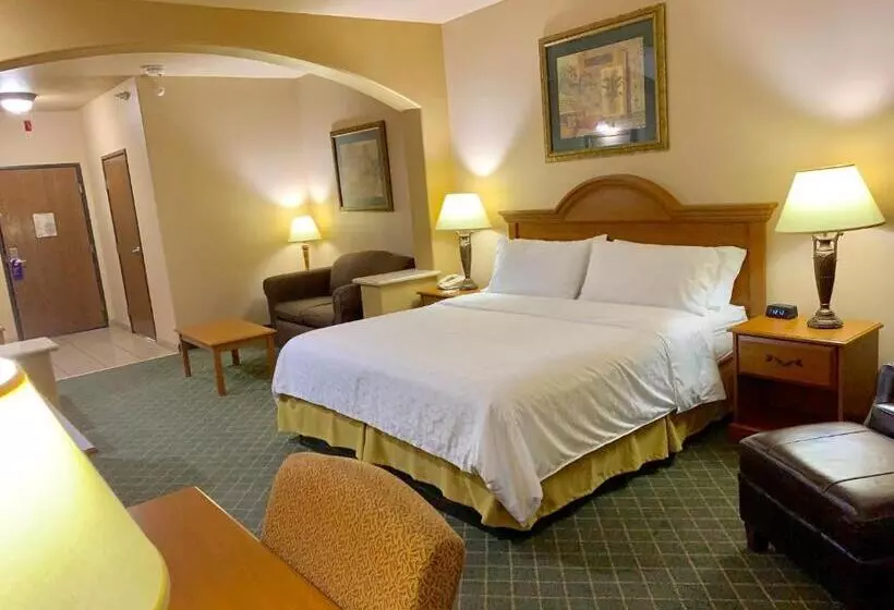キングサイズベッドのスイートルーム, Holiday Inn Express Hotel And Suites Alice, An Ihg