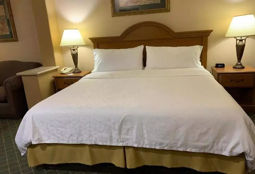 キングサイズベッドのスイートルーム, Holiday Inn Express Hotel And Suites Alice, An Ihg