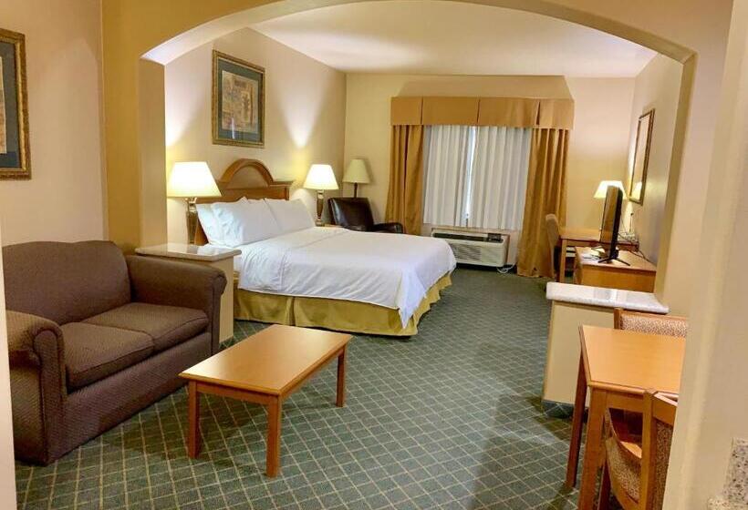 带大床的套房, Holiday Inn Express Hotel And Suites Alice, An Ihg
