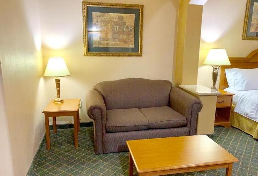 스위트, Holiday Inn Express Hotel And Suites Alice, An Ihg