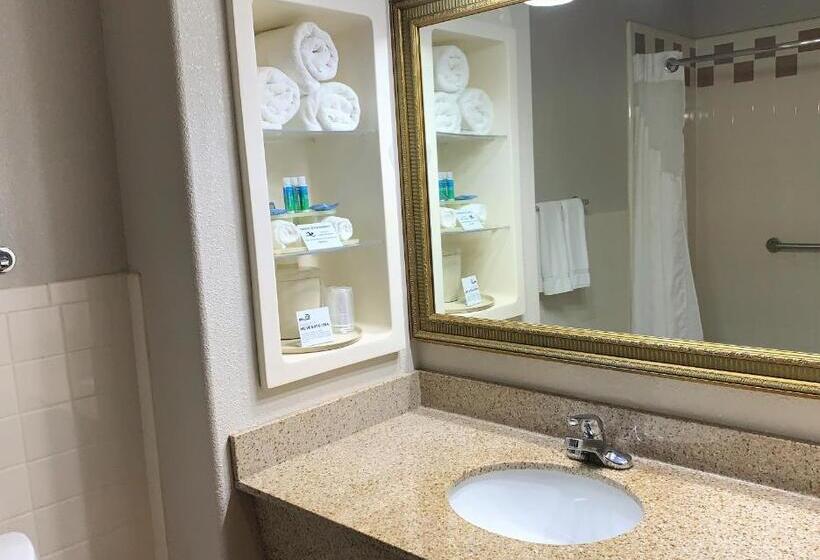 스위트, Holiday Inn Express Hotel And Suites Alice, An Ihg