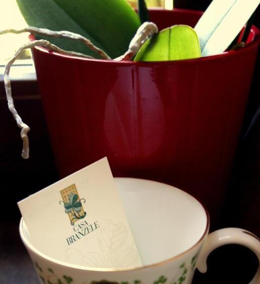 סוויטה, Casa Branzele