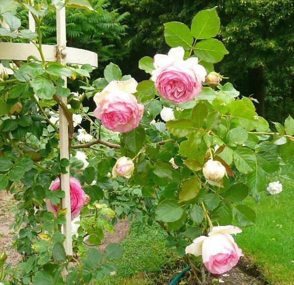 חדר סטנדרט, Chambres D Hôtes Et Roulotte Au Bonheur Du Parc