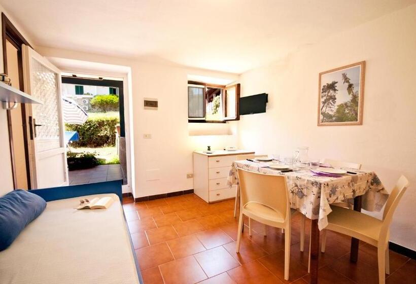 استودیوی استاندارد, Casa Del Golfo