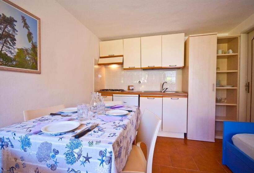 استودیوی استاندارد, Casa Del Golfo