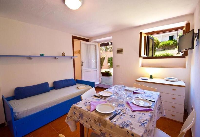 استودیوی استاندارد, Casa Del Golfo