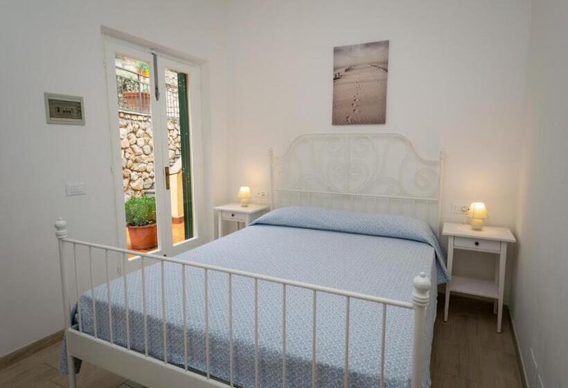 이코노미 룸, Anna