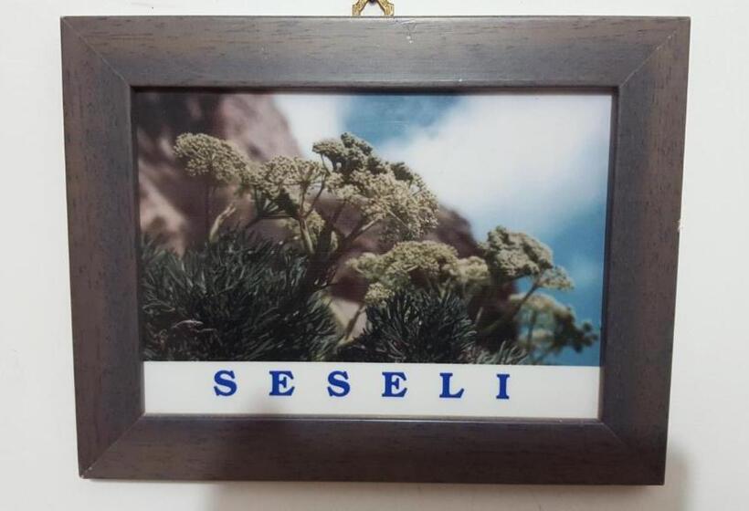 اتاق عادی, Isoladelmiele