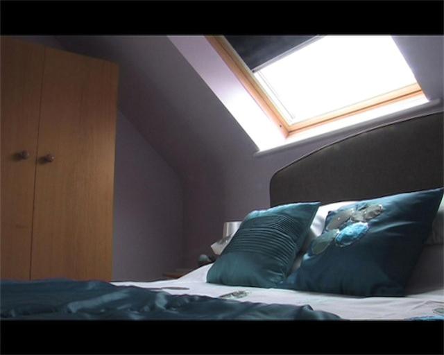 １ベッドルームペントハウスアパート, Jurassic Loft Apartment