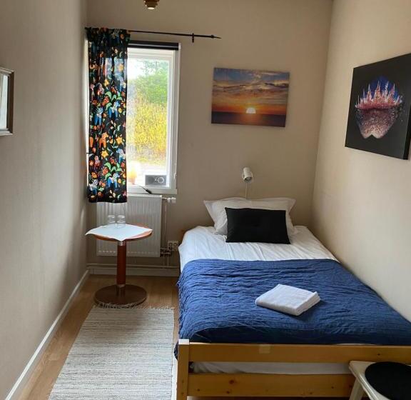 חדר סטנדרד יחיד חדר אמבטיה משותף, Sälengården