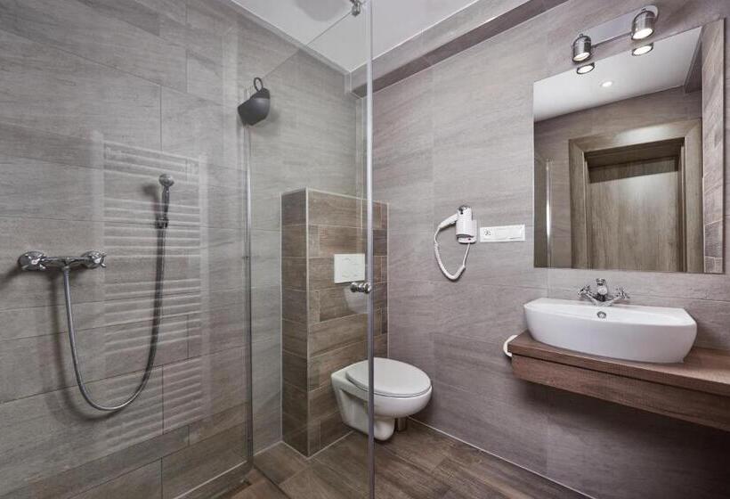 バルコニー付きスタンダードルーム, Studničky