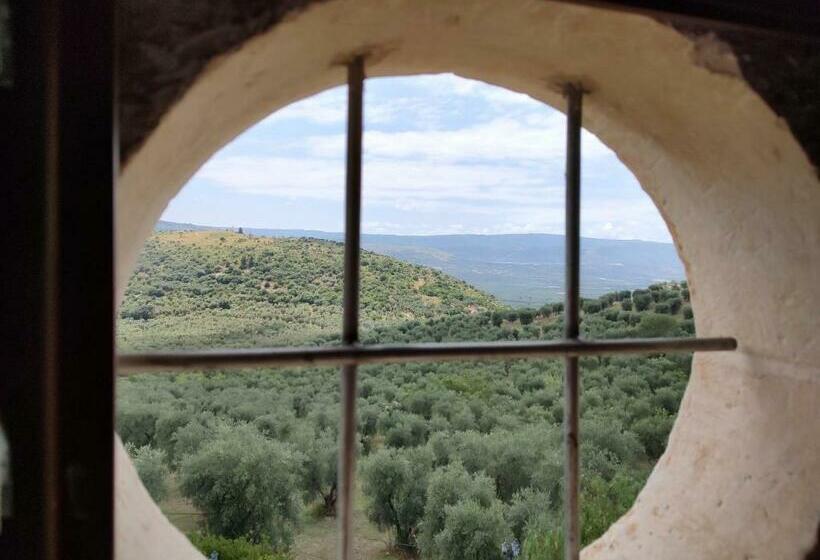 スタンダードトリプルルーム, Torre Bruno