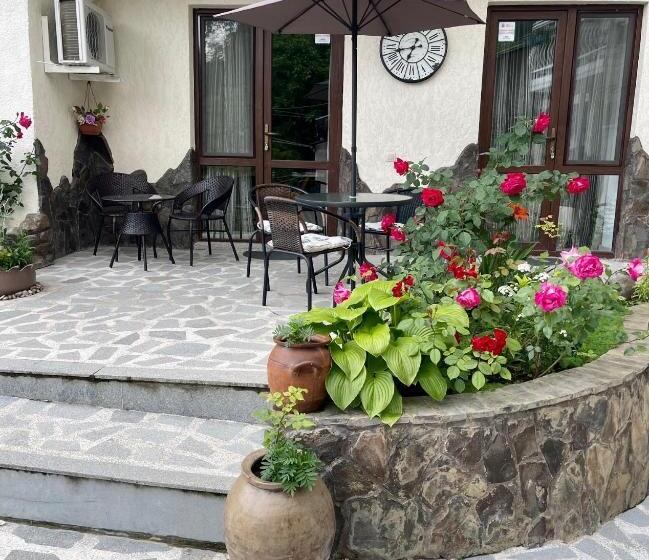 استودیوی استاندارد, Borjomi Apartments Apart