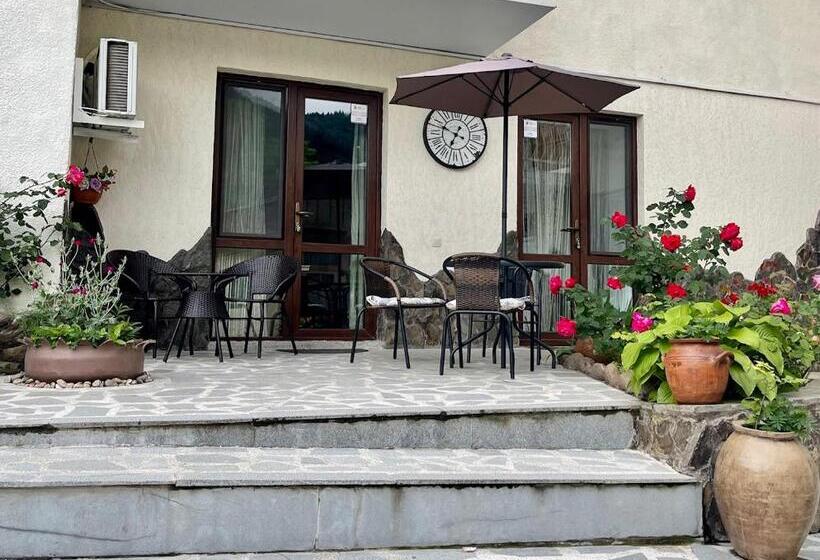 استودیوی استاندارد, Borjomi Apartments Apart