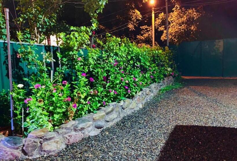 استودیوی استاندارد, Borjomi Apartments Apart
